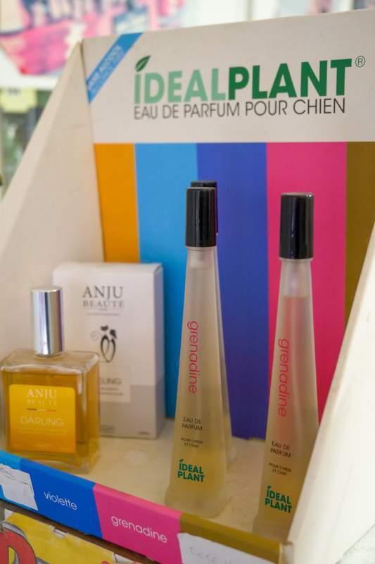 Toilettage de chien Agen