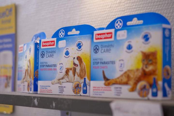 Toilettage de chien Agen